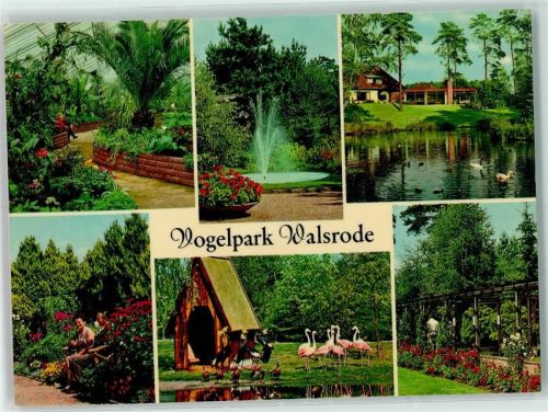 Walsrode Vogelpark Flamingos Brunnen