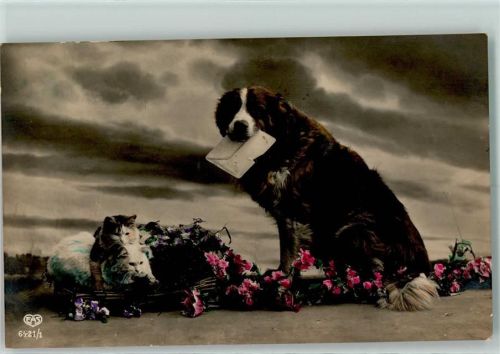 1927 Katzen Verlag EAS Serie 6421-1 handcoloriert AK