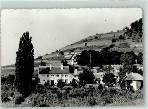 Badacsonytomaj Rosa Szegedy und Kisfaludy Haus