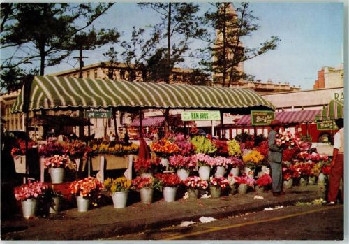 Durban The Indian Flower Stall