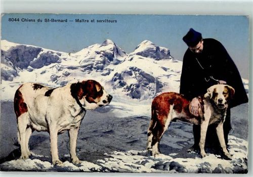 1927 Chiens du St. Bernhard AK