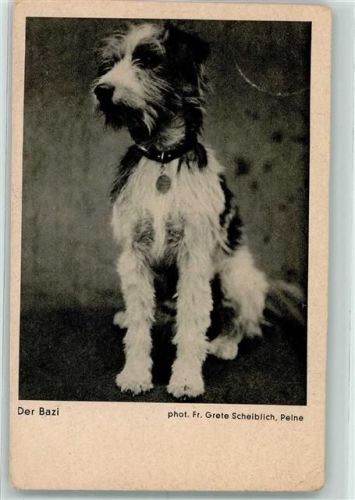 1936 Der Bazi Werbung Foto Porst AK