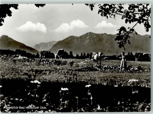 83670 W8173 Bad Heilbrunn - Alpenblick Kühe