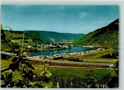 Senheim Campingplatz Mosel