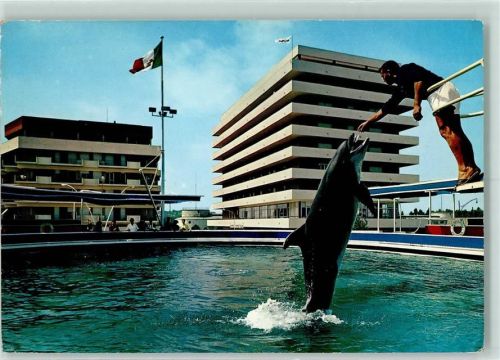 Cattolica L'acquario dei Delfini