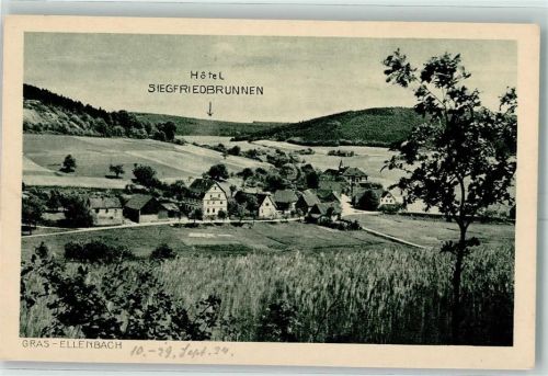 Grasellenbach Hotel Siegfriedbrunnen