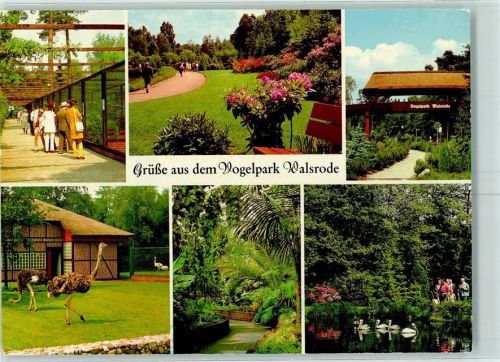 Walsrode Vogelpark Strauße Pelikane Parkanlage