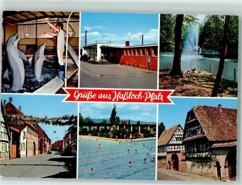 Haßloch Delphinarium Vogelpark Schwimmbad Fachwerkhäuser