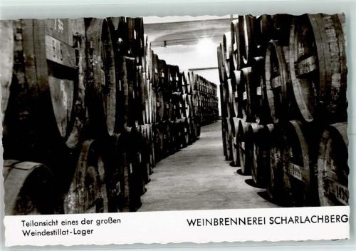 W6530 Bingen am Rhein Weindestillat Lager Scharlachberg Werbung Wein 1983