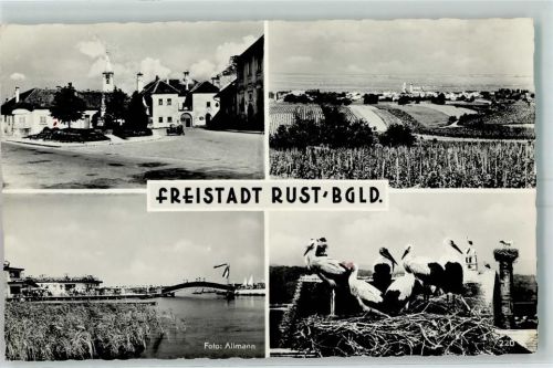 Rust Freistadt Burgenland Storchennest Brücke