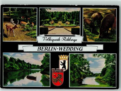 Wedding Volkspark Rehberge Rehe Wildschweine Ruderboot Freilichtbühne