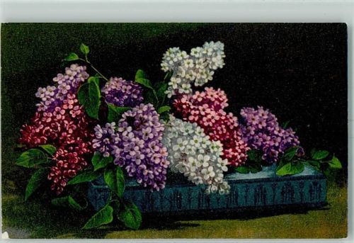 1928 Blumenschale AK