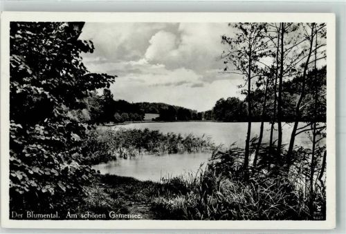 Tiefensee Der Blumental Gamensee
