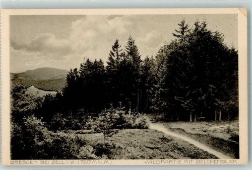 Gresgen Waldpartie mit Belchenblick