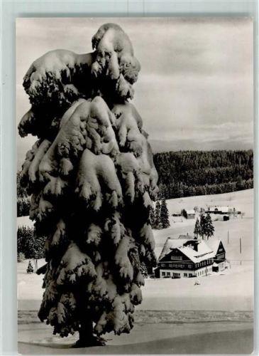 Mühlleithen Blick auf das HO Hotel Buschhaus