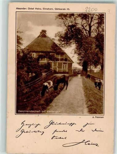 Elmshorn Deichlandschaft Kühe