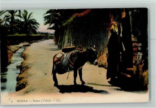 1916 Biskra - Type mit Esel - Oasenstadt - Retour a L Oasis AK Gute Erhaltung