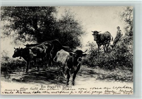 Verlag Brunner & Co - Am Abend , Kühe Koller, R. 1902