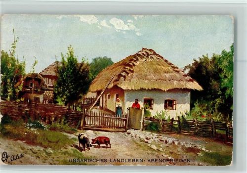 1909 Ungarisches Landleben - Abendfrieden - Tuck AK