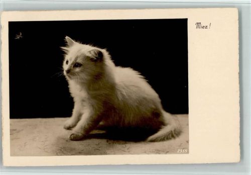 1920 - 1930