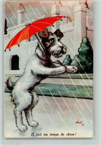 1938 Humor - Hund mit Regenschirm , gute Erhaltung