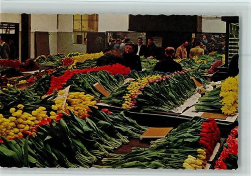 Aalsmeer Einrichtung Blumenversteigerung