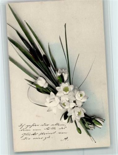 1900 Neophot-Naturblumen Serie 512 Nr. 24 - gute erhaltung