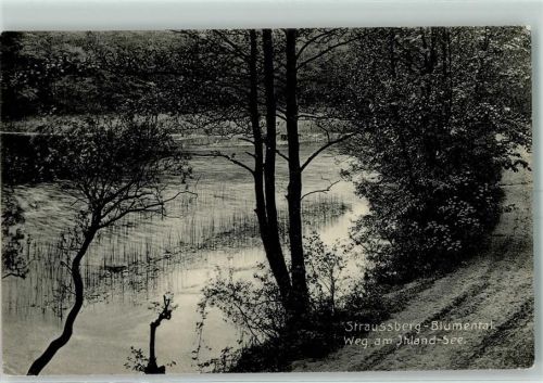 Blumenthal 1913 Weg am Ihland See