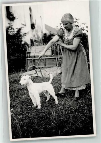 München Drahthaar-Foxterrier Zwinger Peraloh Besitzer Wieleitner Schloss Perlach
