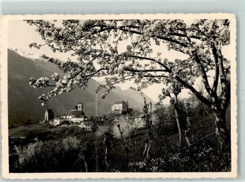 Meran Baumblüte