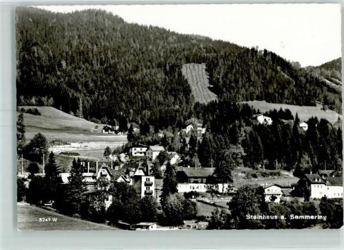 Steinhaus