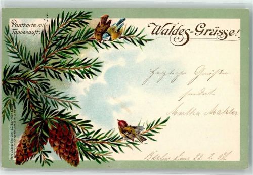1901 Tannenduft Tannenzapfen Vögel Meise Verlag J.C. Schmidt Erfurt