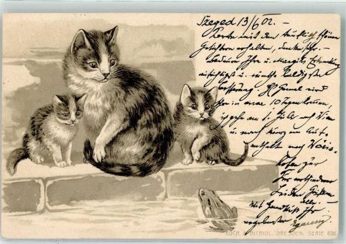 1902 Mama mit ihren zwei Katzenkindern beäugen einen Frosch Lithographie Koch & Bitriol Serie 638