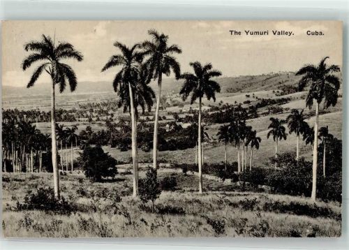 Havanna The Yumuri Valley Ort lt. Verlag