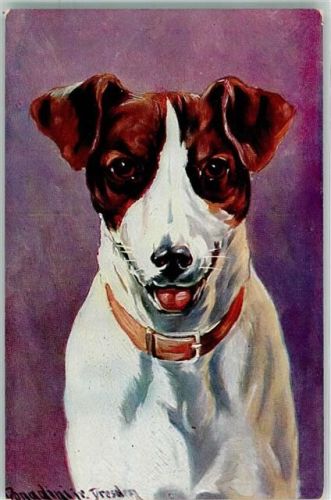 O7000 Leipzig Hund Werbung Wochenschrift für Gartenliebhaber und Tierfreunde Verlag d. Lehrmeisters Donadini, A.
