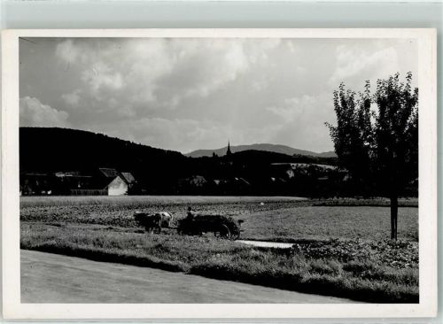 Sulzburg 1979 Ort handschriftlich Foto keine AK