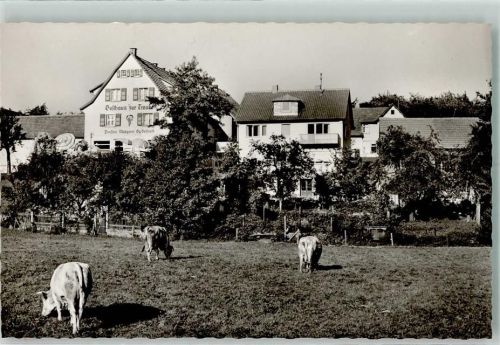 64658 W6145 Winterkasten Gebrauchsspuren Gasthaus Pension zur Traube Foto AK