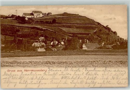 Straubing 1906 Herrmannsberg Ort lt. Stempel