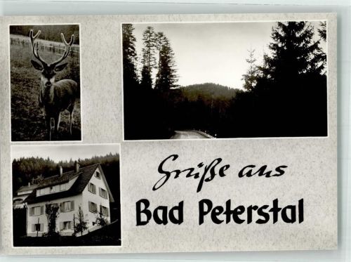 Bad Peterstal Pension Spinner