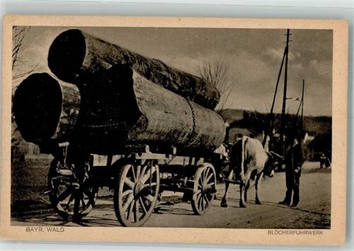 Arnbruck 1929 Blöcherfuhrwerk Holztransport mit Rinder Bayr. Wald