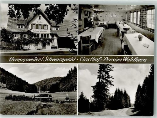 Herzogsweiler Gasthaus Pension Waldhorn