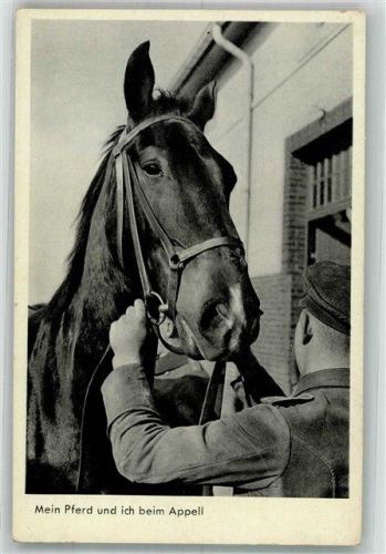 Landser mit seinem Pferd beim Appell Fotograf Heinz Schröter