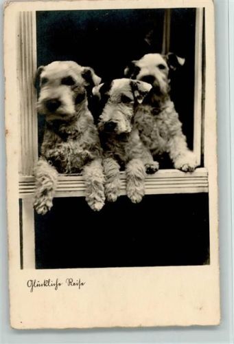 Glückliche Reise - Foto 1939 AK