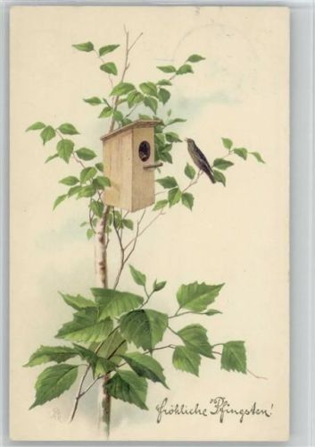 Vogelkasten im Birkenbaum - 1911 AK