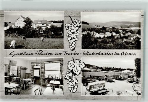 Winterkasten Gasthaus Pension zur Traube