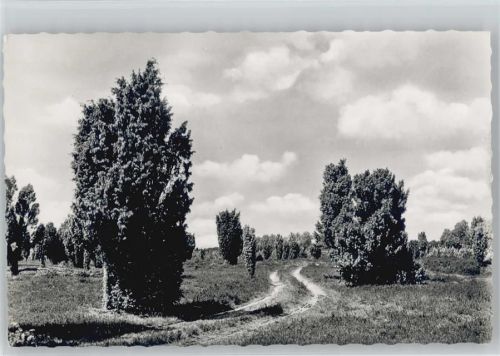 Wilsede Geitzenberg