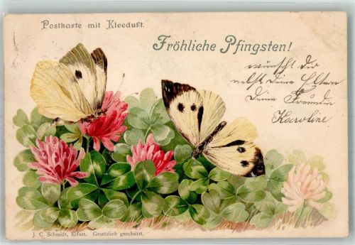 1904 Pfingsten Kleeduft Schmetterlinge mit Glücksklee Künstlerkarte
