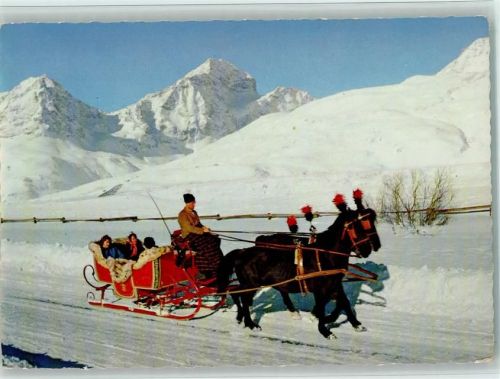 St. Moritz Pferdeschlitten Schlittenfahrt im Engadin