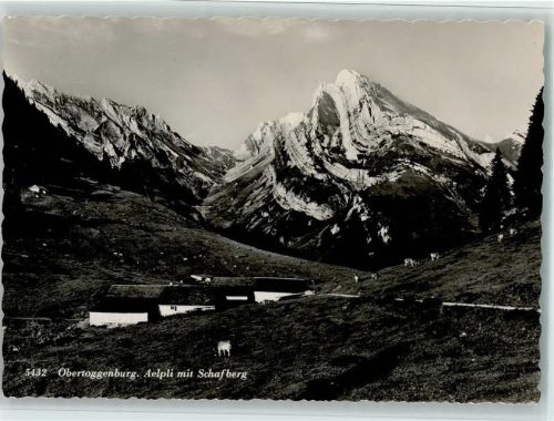 Wildhaus Aelpli mit Schafberg Obertoggenburg