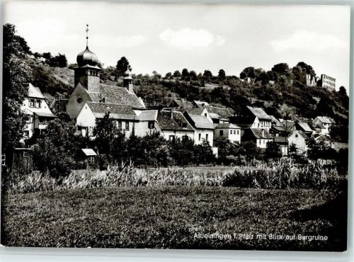 Altleiningen Ortsansicht mit Blick auf die Burgruine